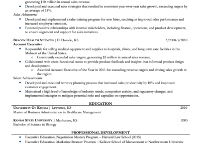 Vp of Sales Resume Example